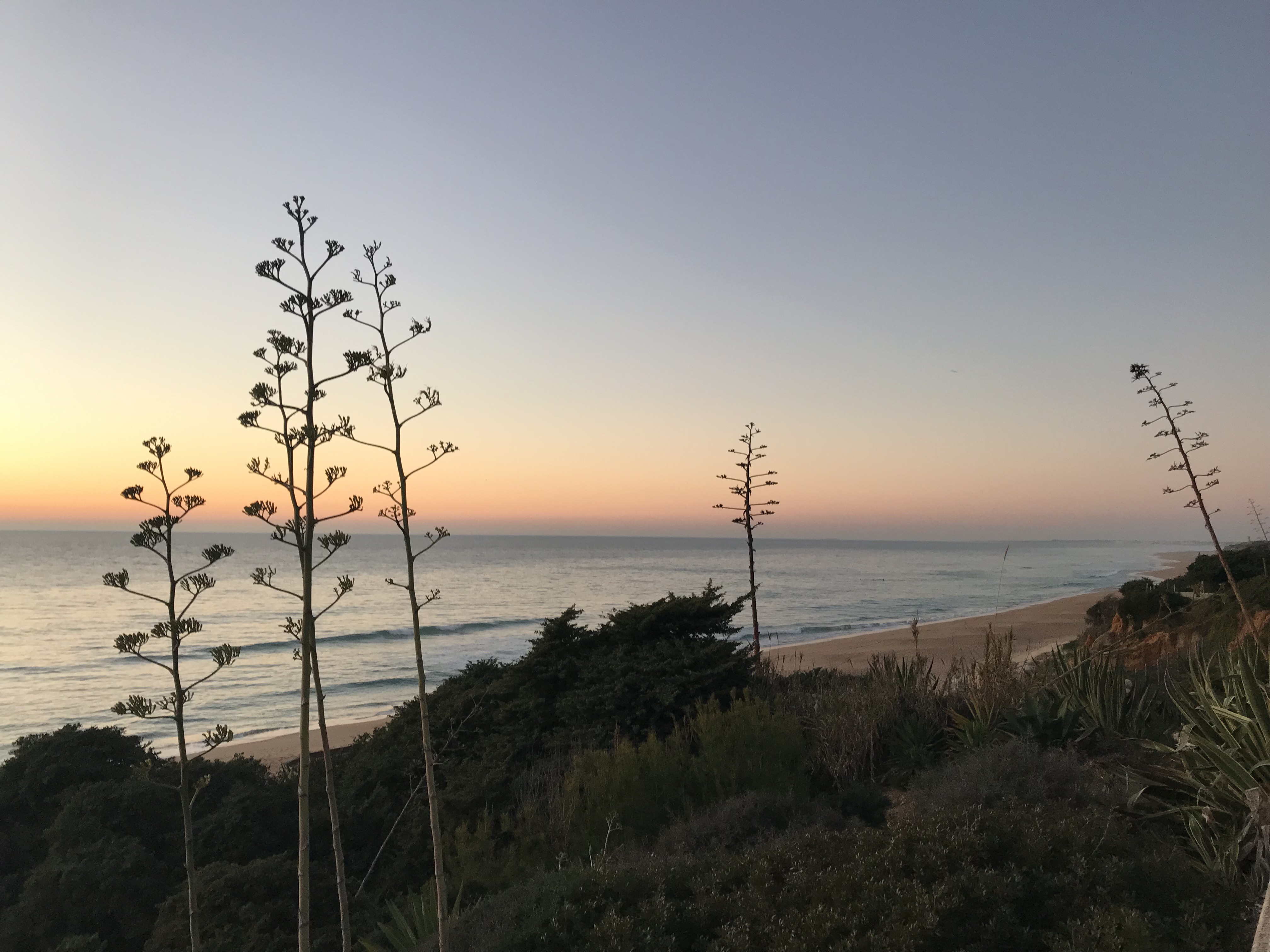 CONIL DE LA FRONTERA